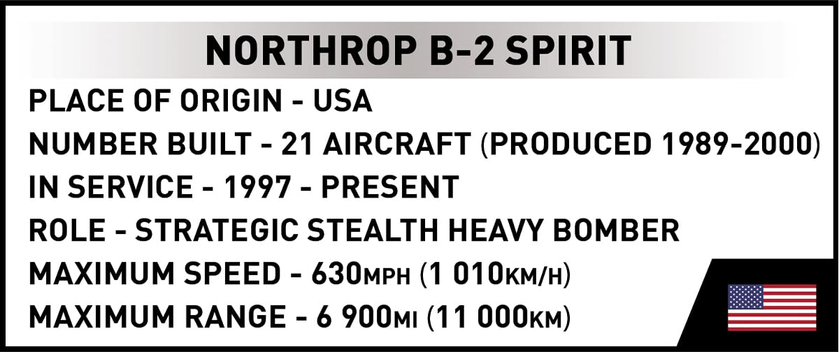 Northrop Grumman B-2 Spirit, Schwarz