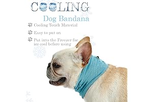 Instant Cooling Scarf for Dogs: Your Dog's Summer Sanctuary