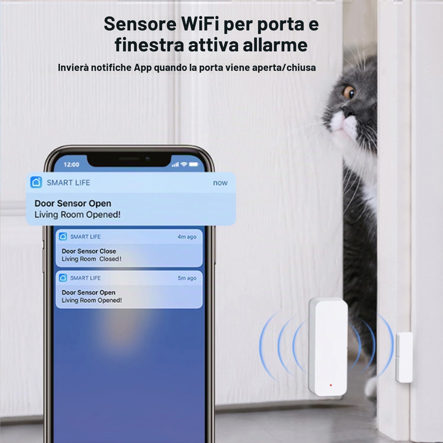 Sensore WiFi per porte e finestre: sensore di contatto intelligente compatibile con Alexa e Google Assistant