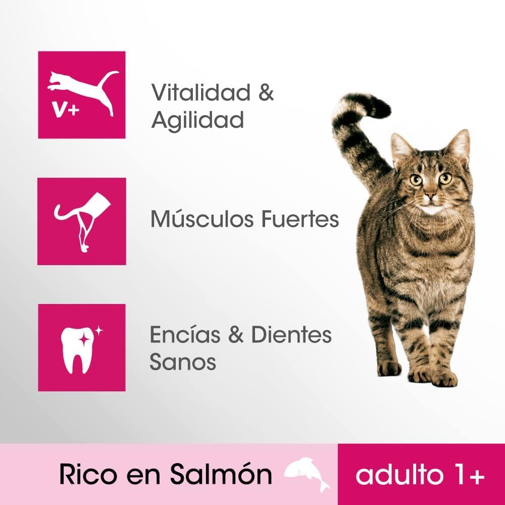 Pienso para Gatos Sabor Salmón (5 Bolsas x 1,4kg)