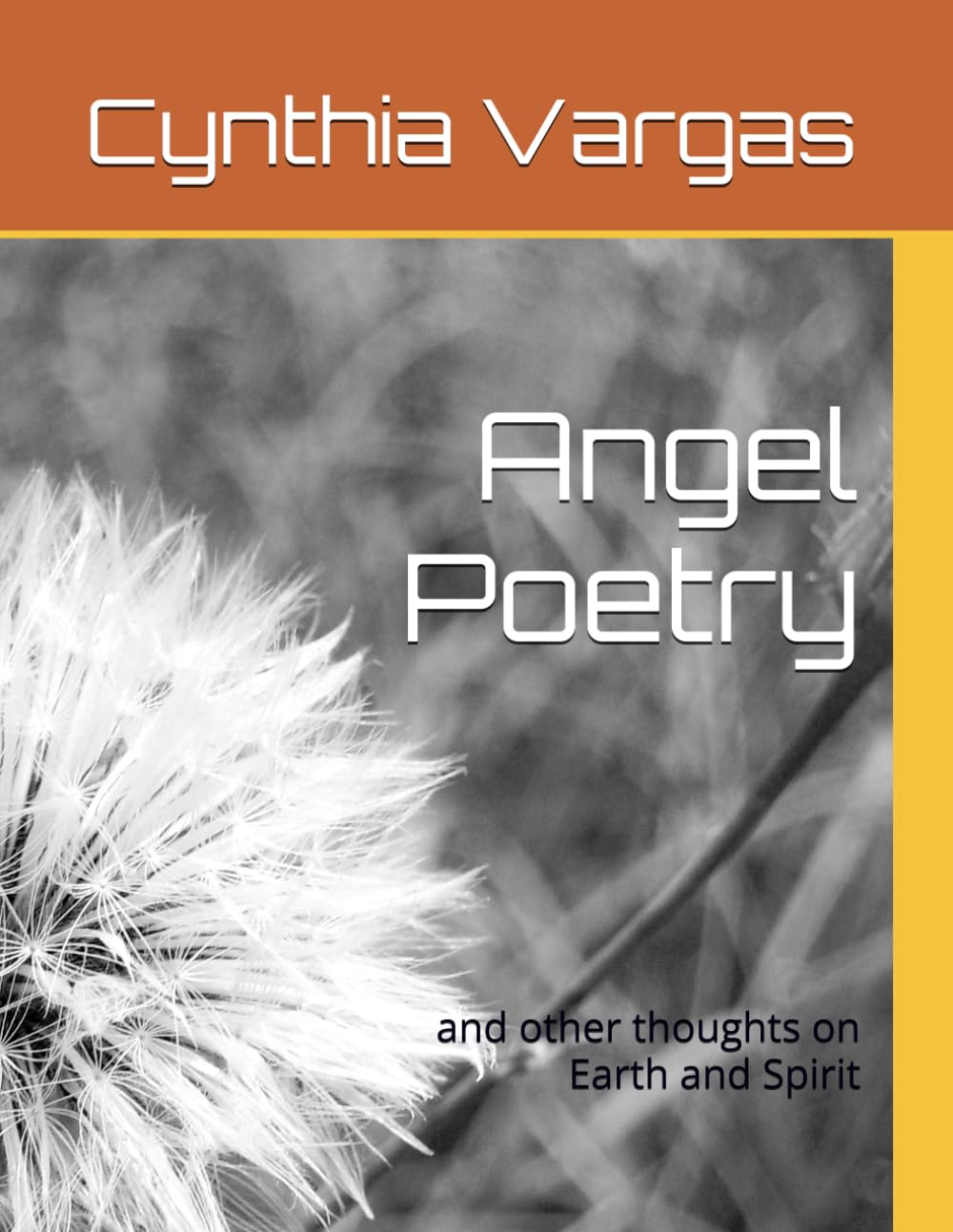 Angel Poetry: And Other Thoughts on Earth and Spirit