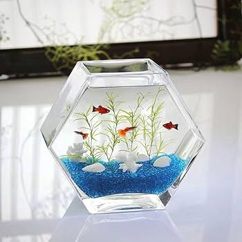 Amazon | 金魚鉢 水槽 小シンク 苔テラリウム 六角形ボディ