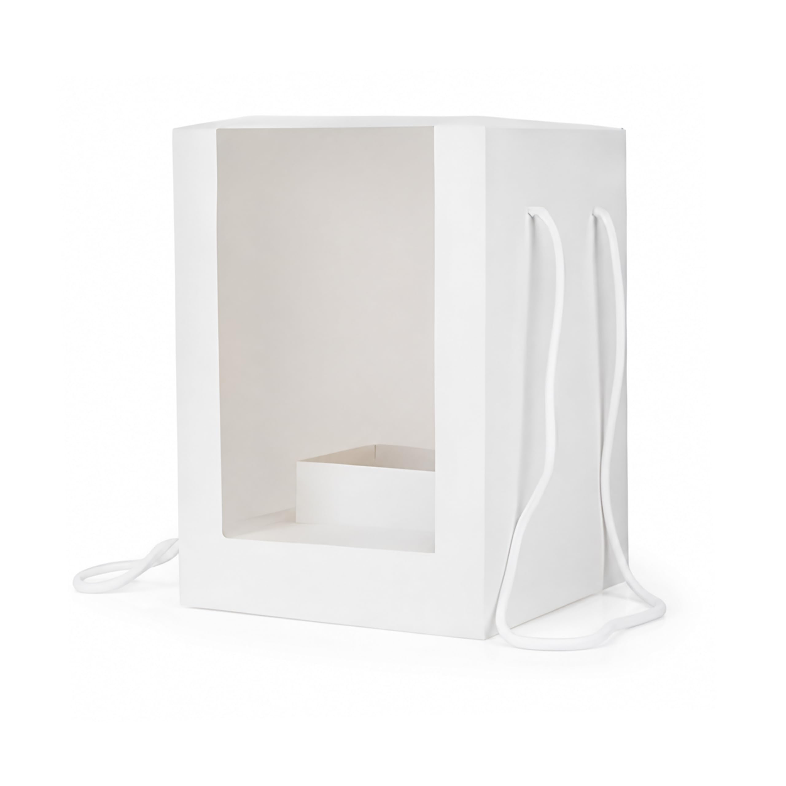 10 PZ Scatole Regalo con Finestra Trasparente, Scatole Portafiori in Cartone Bianco con Manici in Corda, Confezione Regalo Elegante per Bouquet, Fiori, Eventi e Cerimonie (10, Set di 10)