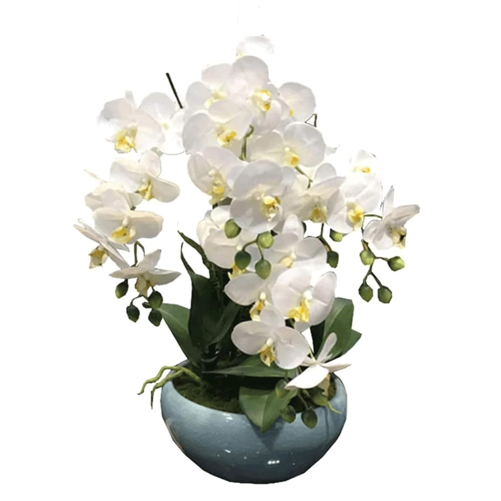 DFGHNBVC Artificial Orchid Artificial Flower Silk Faux Orchids Ceramic Vase Artificial Phalaenopsis Flowers 21.65In Fake Floral Home Artificial Orchid Very Natural