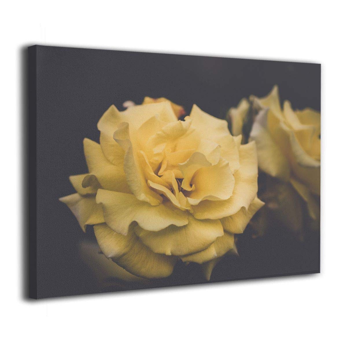 Tour Edge Hot Launch E525 VIBRCOR Sand Wedge 56* (Graphite UST Helium Black, Regular, Left) 2025