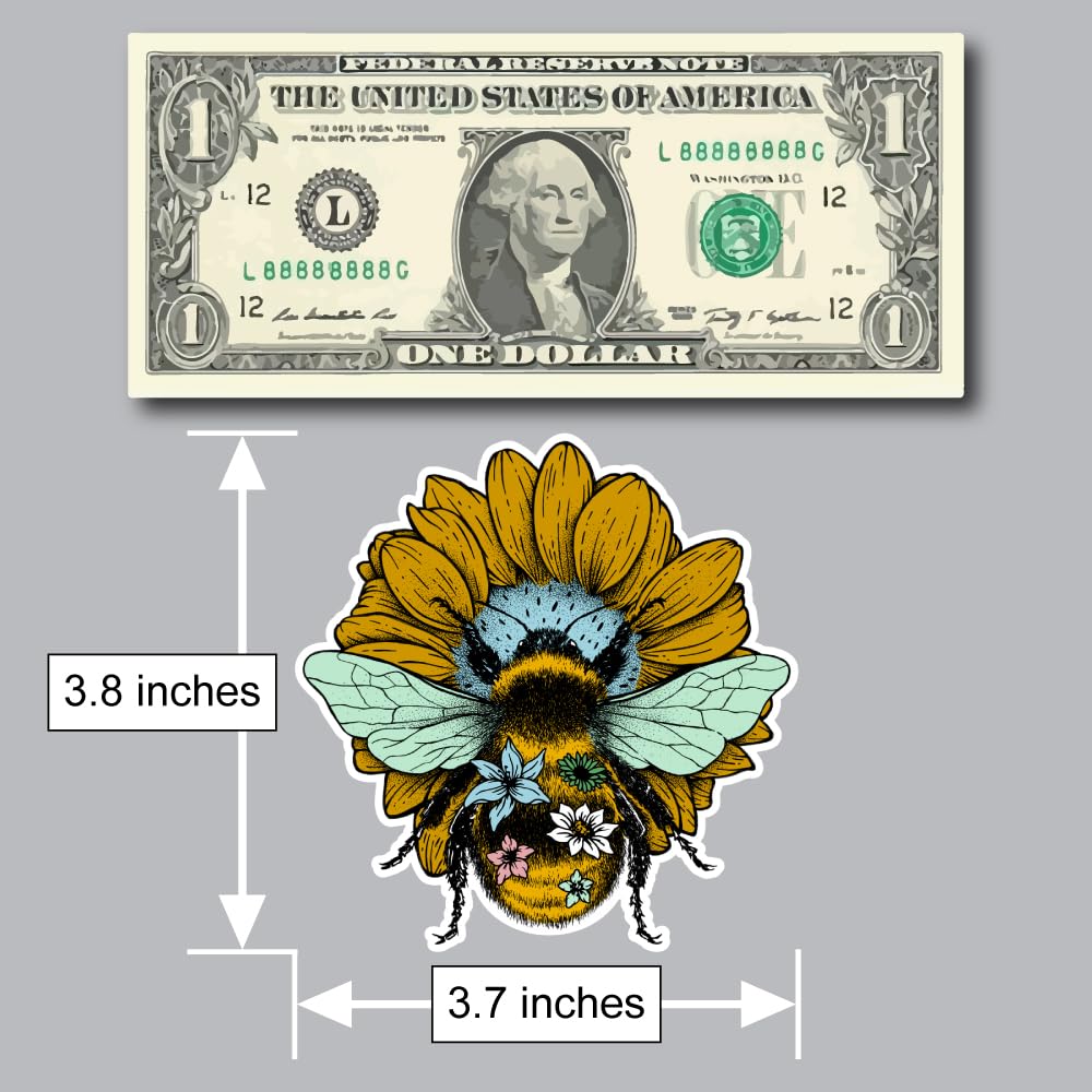 Amazon.com - Bumble Bee Decal Sticker for Car or Truck Windows