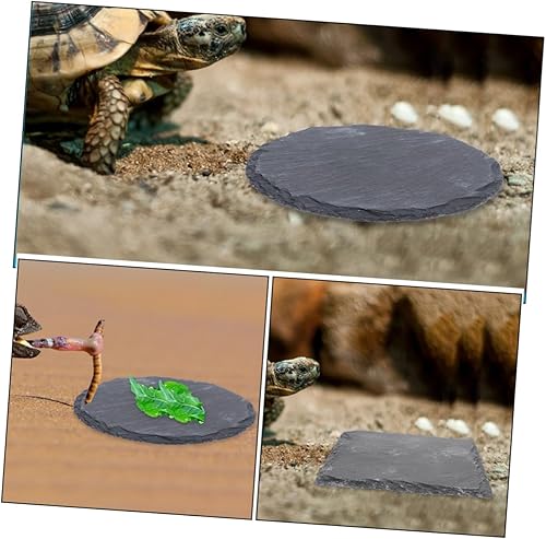 Miniatura 4 de 2pcs Cuenco de pulido de uñas Reptil Basking Plataforma Tortuga Plato de comida Colorfast Multifuncional