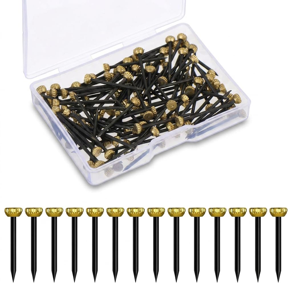 LUCTHY Picture Hanging Nails, 100 Pcs Brass Head Wall Pins Frame Hangers