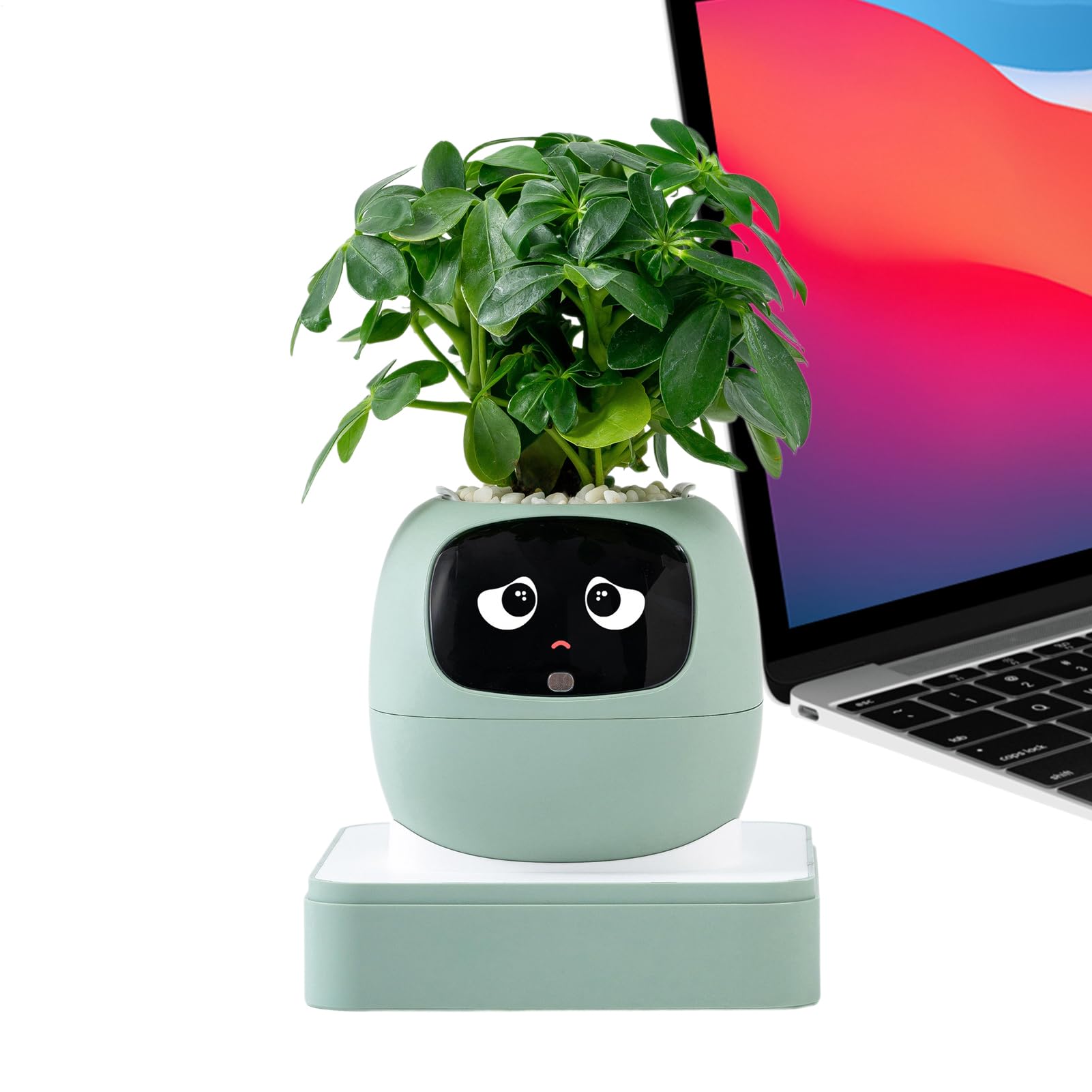 Pot de fleurs intelligent AI Pet Guidance plante carnivore intérieur appartement et bureau