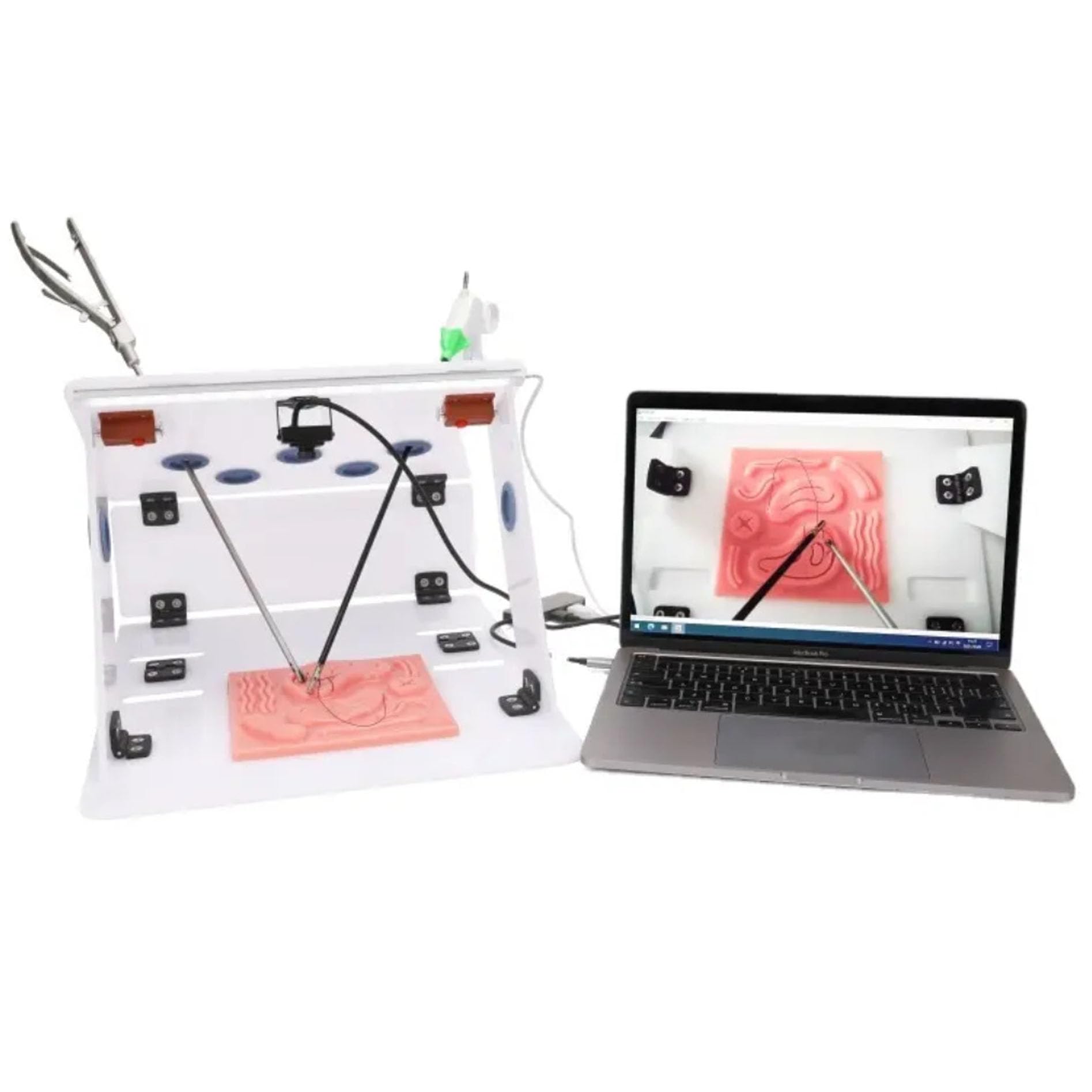 Kit de Entrenamiento Simulado Laparoscópico | Juego Completo de Entrenamiento de Cirugía Incluye Instrumentos y Accesorios-para médicos y Estudiantes（Endoscopio de 0°）