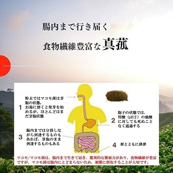 マコモ粉末★2個セット★ マコモ 粉末 190g 2個セット 真菰（まこも）発酵粉末 : くらしの