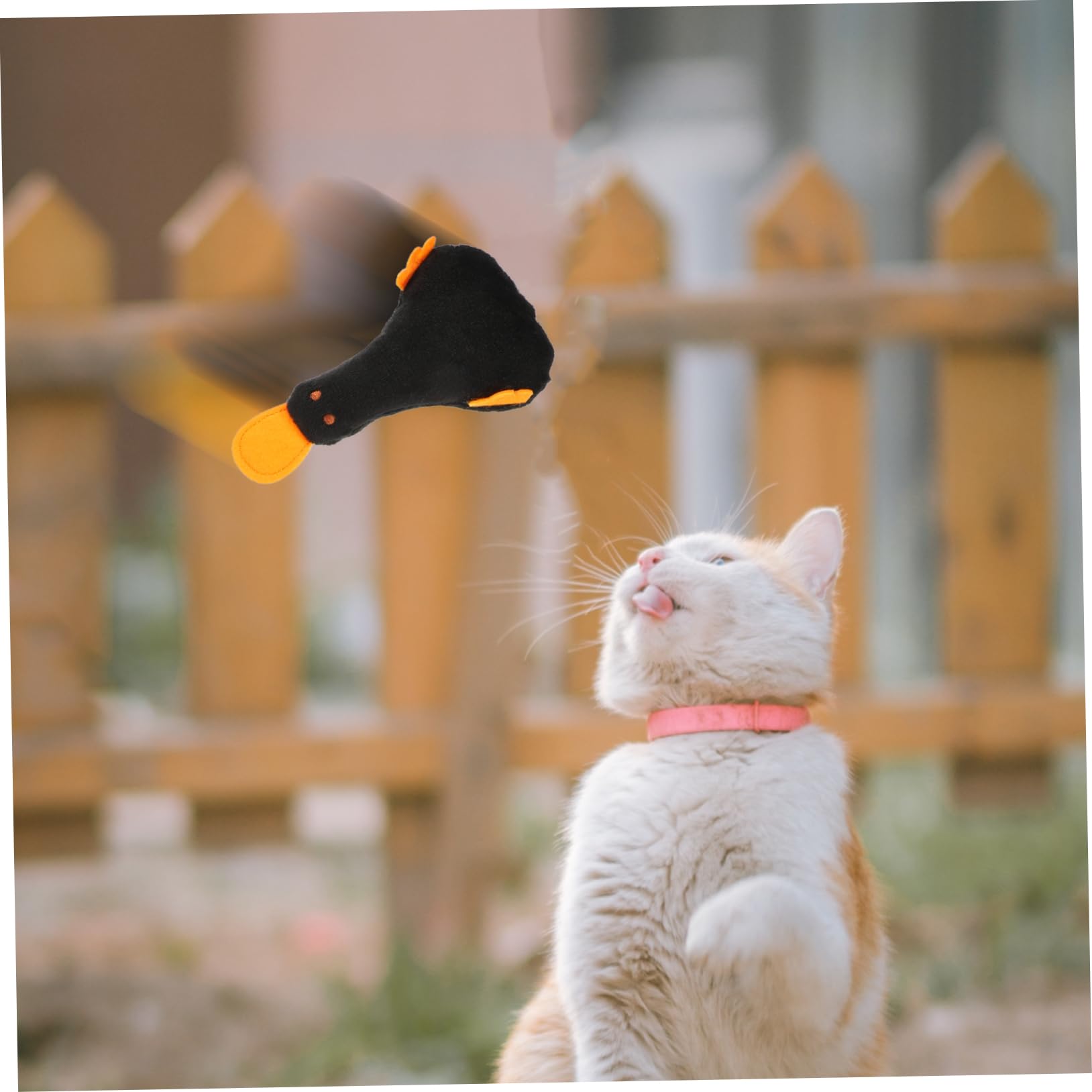 INOOMP 20 Pièces Jouet de Chat drôle Jouet de Dentition Jouets de Diversion pour Chat Interactive Cat Toy Plush Fournitures pour Animaux de Compagnie d'intérieur Produits pour Chats