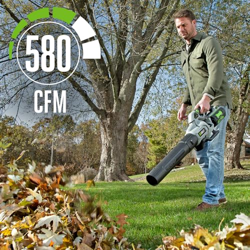EGO Power+ LM2122SP-2 21-Inch 56-Volt Self-Propelled Lawn Mower with Touch Drive™ with (2) 4.0Ah Batteries, 550W Rapid Charger Kit and LB5800 580 CFM Cordless Leaf Blower - image 5