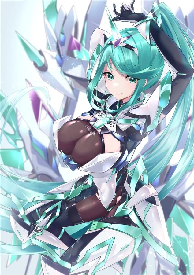 ヒカリちゃん　セット Amazon.co.jp: ゼノブレイド2 プネウマちゃんB2タペストリー