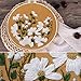 Embroidery Starter Kit with Pattern, Cross Stitch Kit Include Stamped Embroidery Clothes with Floral Pattern, Plastic Embroidery Hoops, Color Threads and Tools Needlepoint Kits (Little Chrysanthemum)