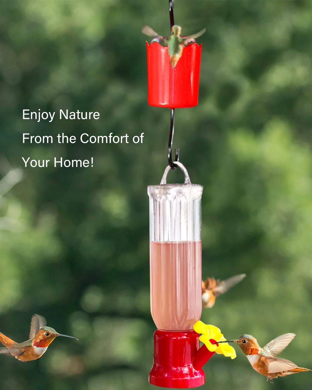 Small Hummingbird Feeder with Hanging Wires,Easy Cleanup and Refill Mini Hummingbird Feeders for Outdoors(4 Pack,2.3 oz)