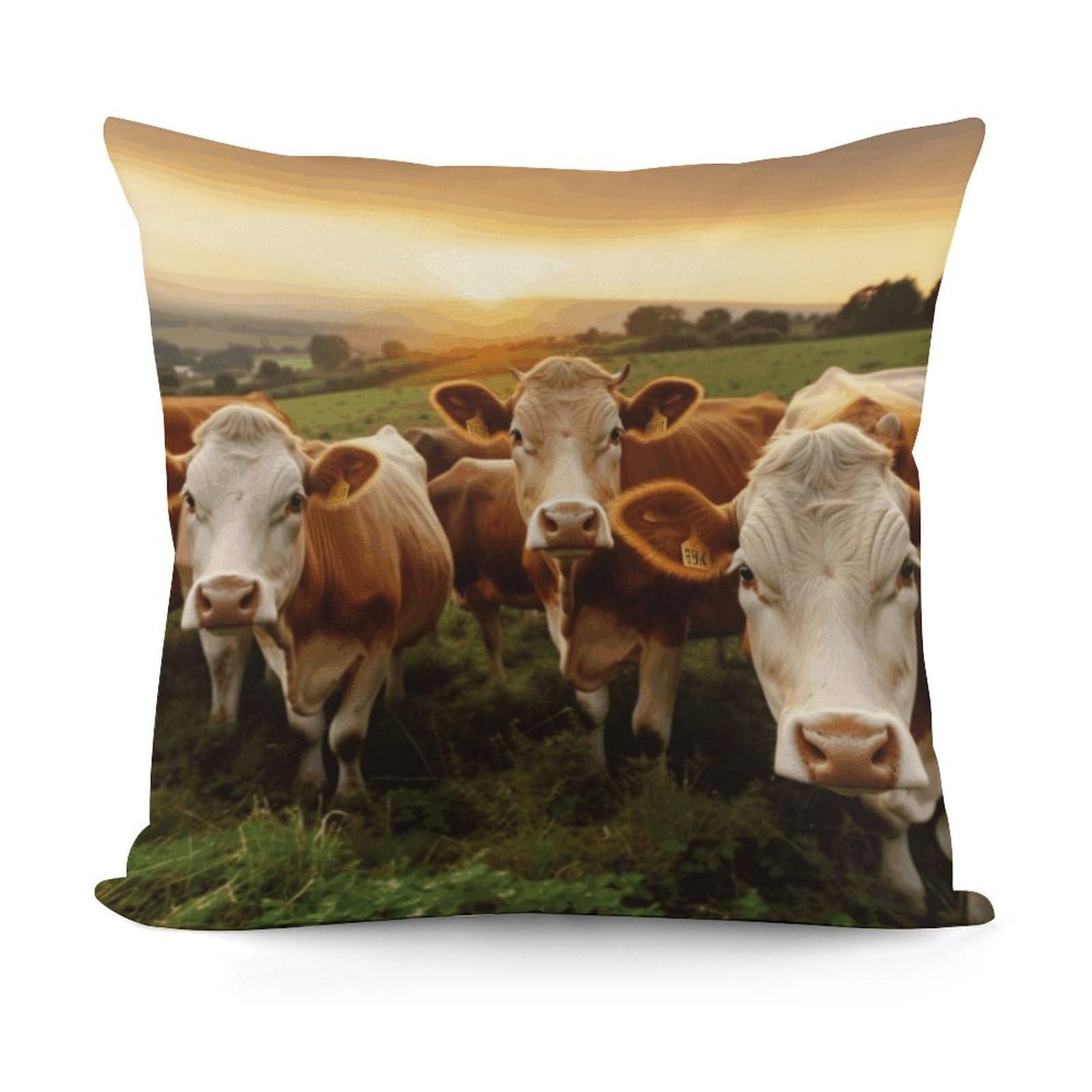 VstaDank Animal Cows Throw Pillow Covers 18x18 Inch Soft Couch Home Decor Cushion Cover Comfortable Plush Square Cushion Case Farmhouse Decorative Pillowcase for Living Couch
