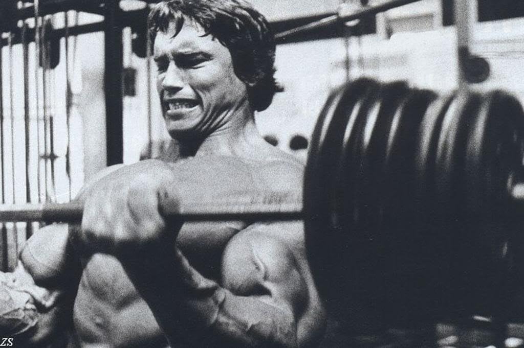 SVPoster Arnold Schwarzenegge Body Building Nice Silk Fabric Cloth Wall Poster Print (20x13inch)