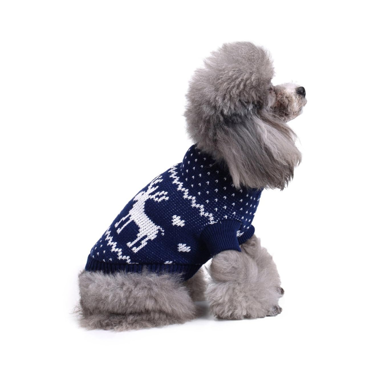 Sosoport 3pièces Pull De pour Petit Chien Manteau Hiver Chien avec Motif Renne Et Vêtements Festifs pour De Sorties Hiver Bleu