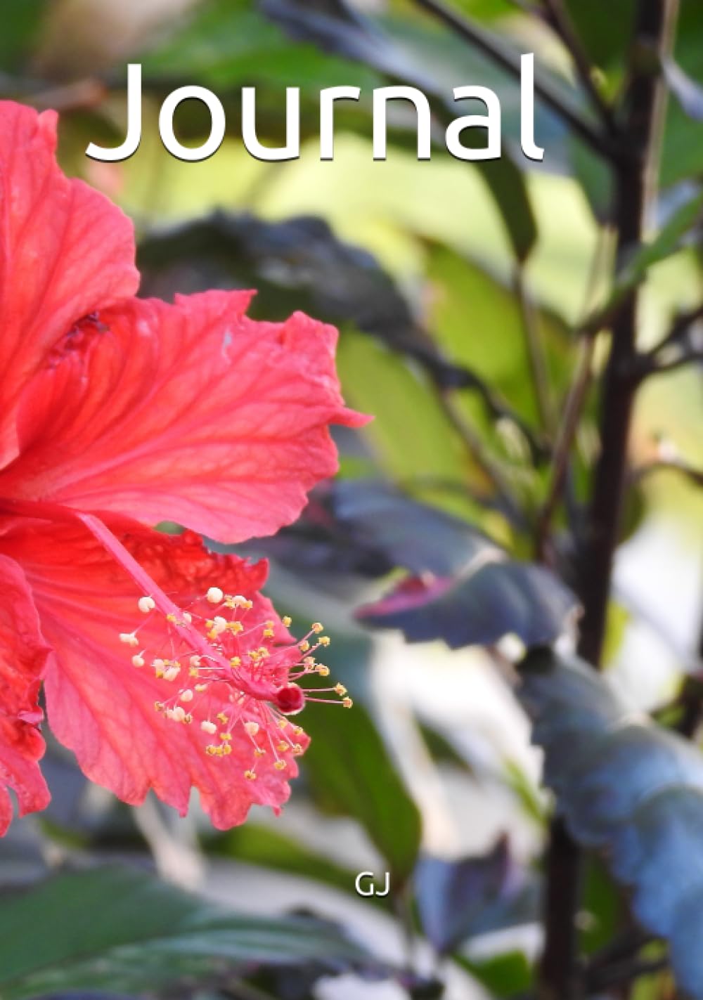 Journal
