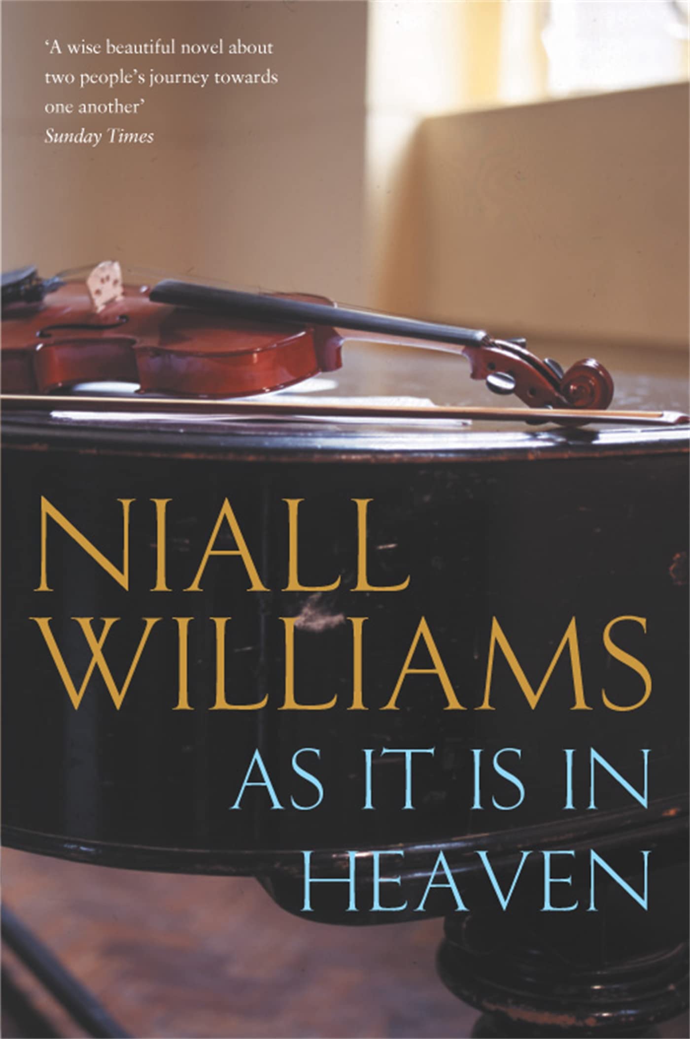 Niall Williams As It Is in Heaven Paperback Book