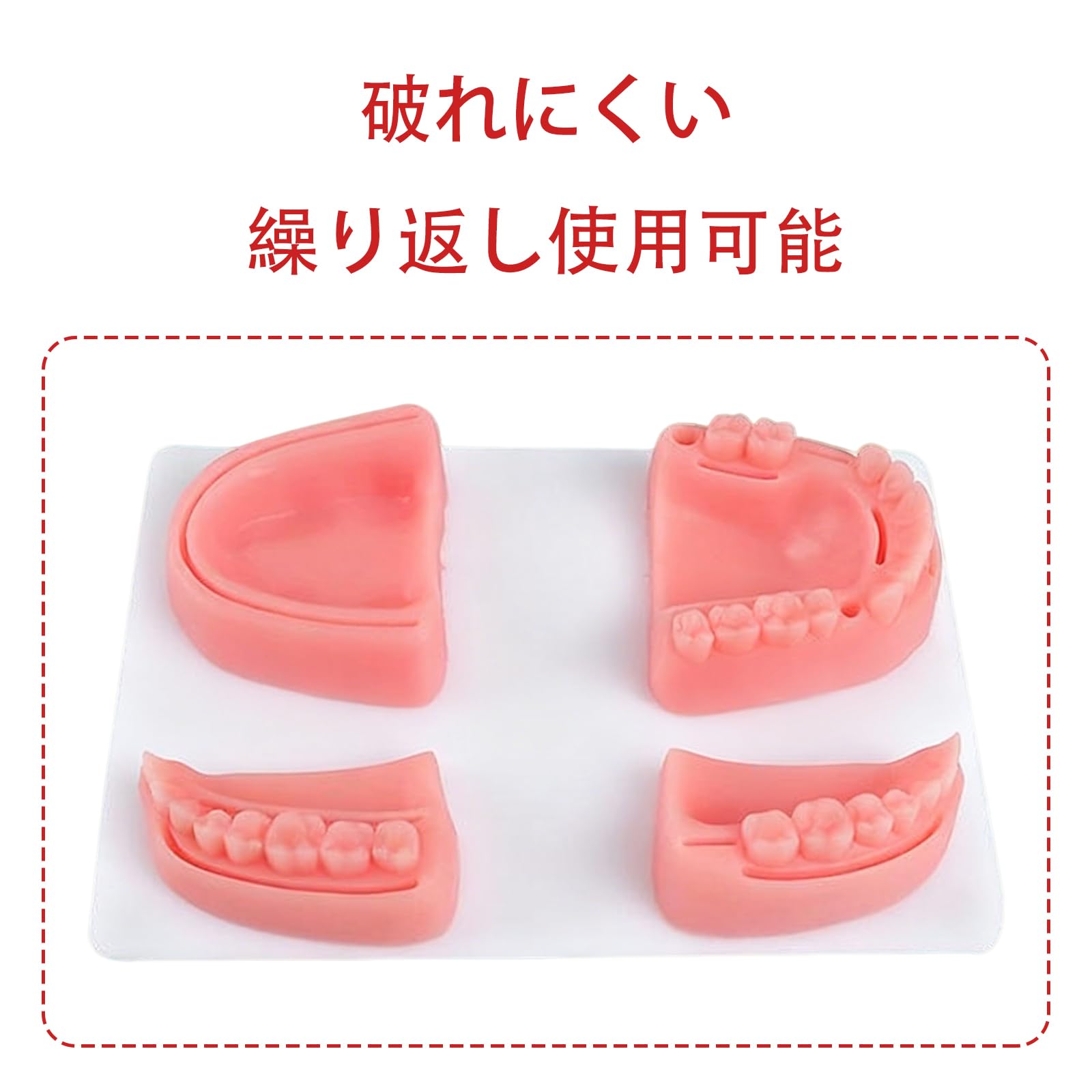口腔外科実習セット　歯科 Amazon.co.jp: 歯科縫合練習キット 口腔縫合トレーニングモデル 歯科