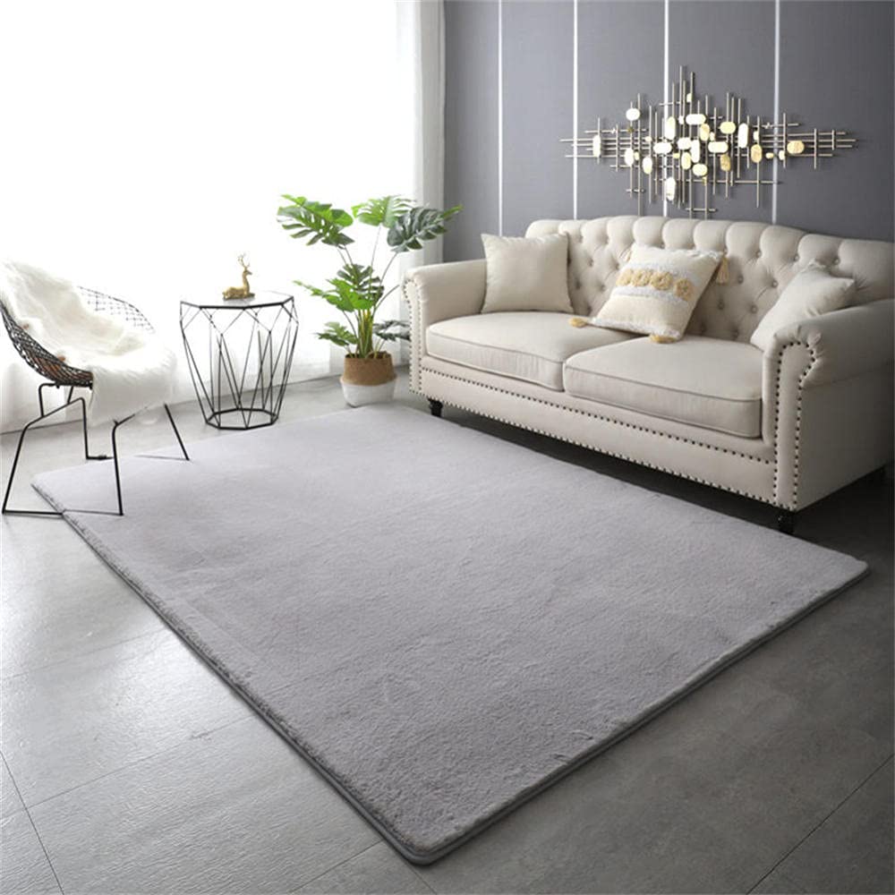 Tapis de salon moderne antidérapant et durable LUNEZY 150x