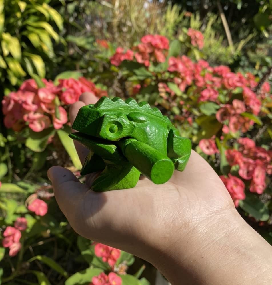 Amazon.co.jp: 打楽器木製カエル 3個セット 4インチカエル、3インチ