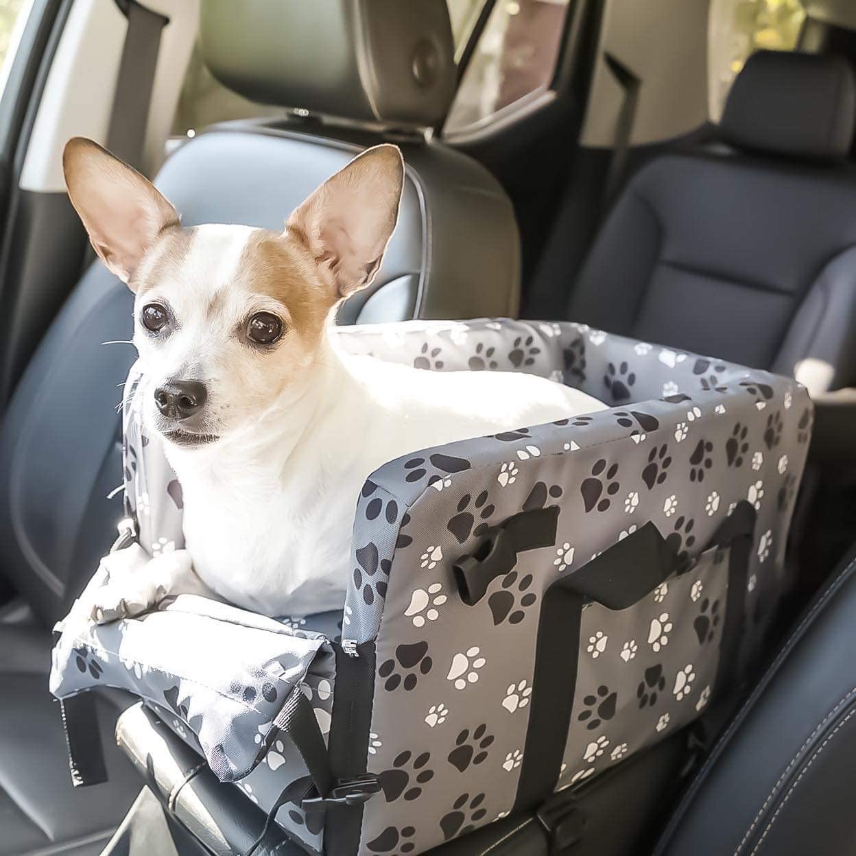 Can I Purchase A Seat For My Dog