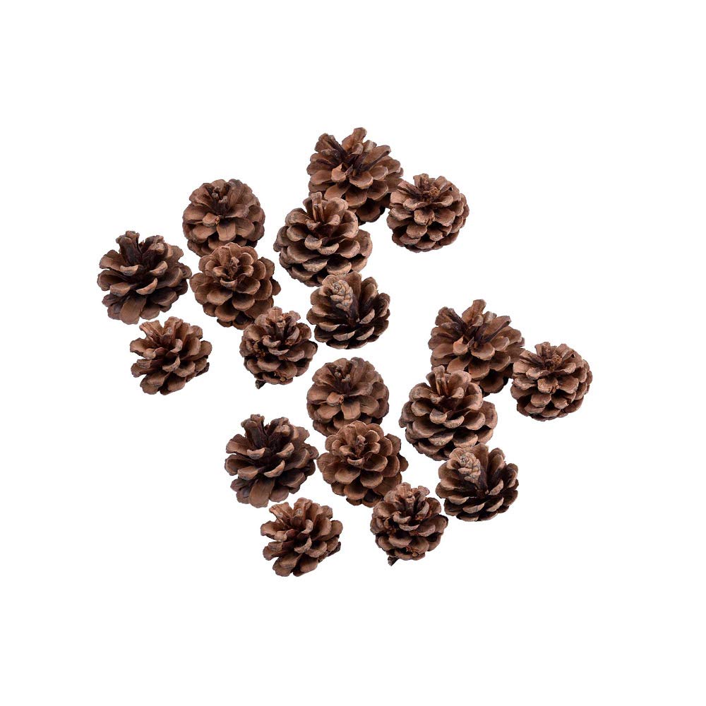 YATAI 18 Pieces Mini Natural Rustic Dried Pine Cones in Bulk, Brown Pinecones for Party Ornament DIY Crafts Home Decoration Pinecone Wreath Garlands Festival Tree Decoration
