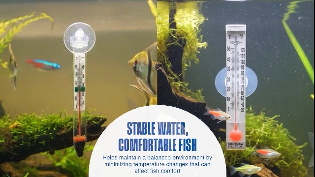 Image of Penn-Plax Therma-Temp Floating Aquarium Thermometer - Easy to Read - Temperature Gauge with Optional Suction Cup & Removable Mount - Safe for Freshwater & Saltwater Tanks - Multicolor, 4.25 Inches