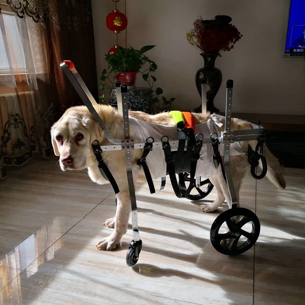 Amazon.co.jp: HXSM 犬用車椅子 障害者ペット/犬/猫用 ペット