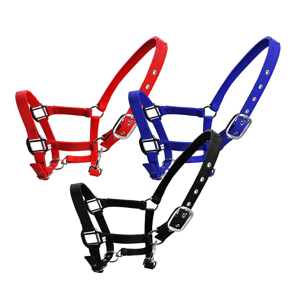 Capezza imbottita Pony Bridle Head Collar Regolabile in lega di zinco Equipaggiamento protettivo Indossare facilmente Forniture per cavalli Solidità, Blu, XL