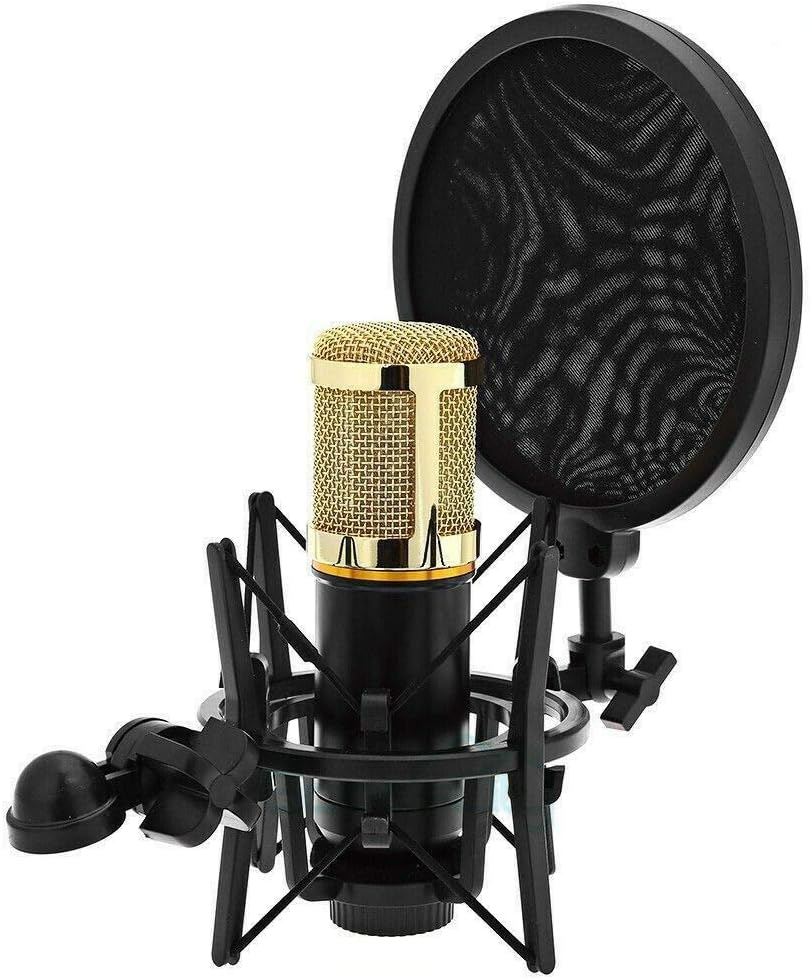 Adjustable Studio Microphone Mic Shock Mount +Wind Screen Shied Pop Filter