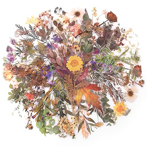 RisyPisy 80 Piezas Scrapbook Pegatina Set, Varias Plantas y Flores Creativas Pegatinas, PET Decorativas Stickers para Manualidades, Planificadores, Diarios de Balas, Cuadernos, Portátiles, Calendarios Cover