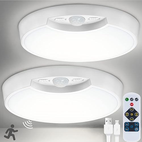 DEEPLITE Luz de techo con batería con sensor de movimiento con control remoto, luz de techo recargable inalámbrica activada por movimiento para