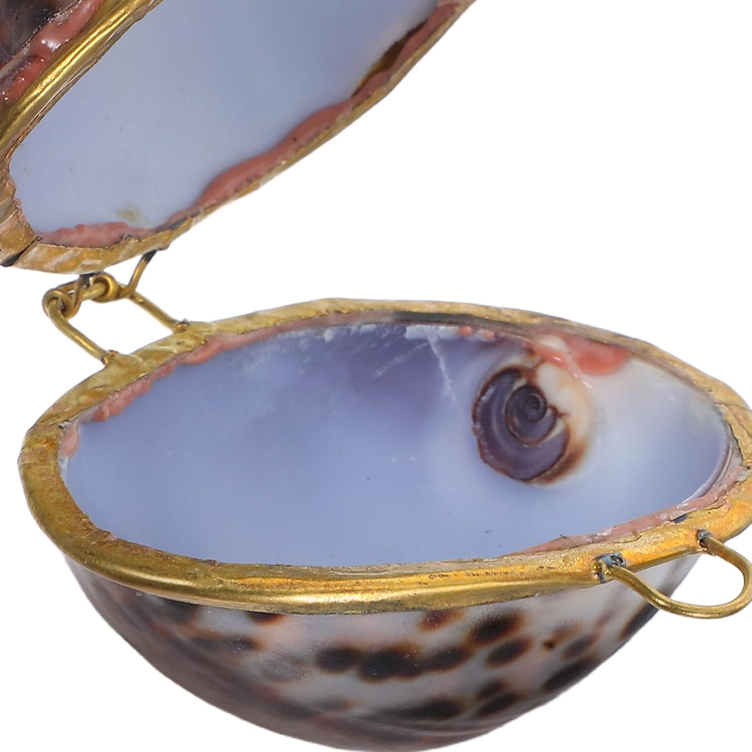 Shell Jewelry Box Creative Organizer 6.5cm for Women image 3