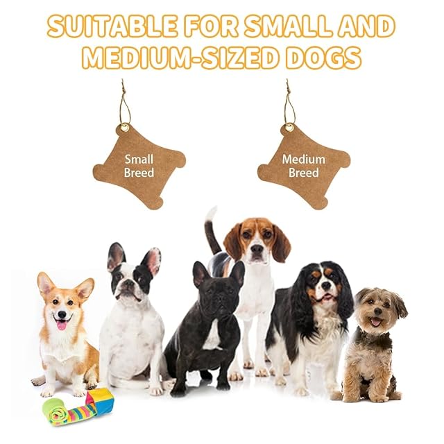 Foto 8 de 8 de DONGKER Juguete para olfatear perros, rollos interactivos coloridos para olfatear perros pequeños y medianos