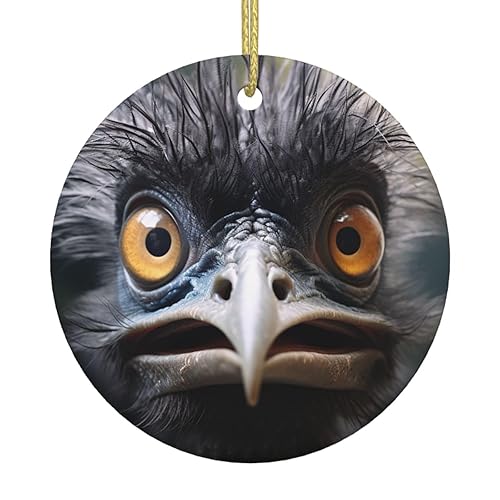 Émeu Hanging Hanging