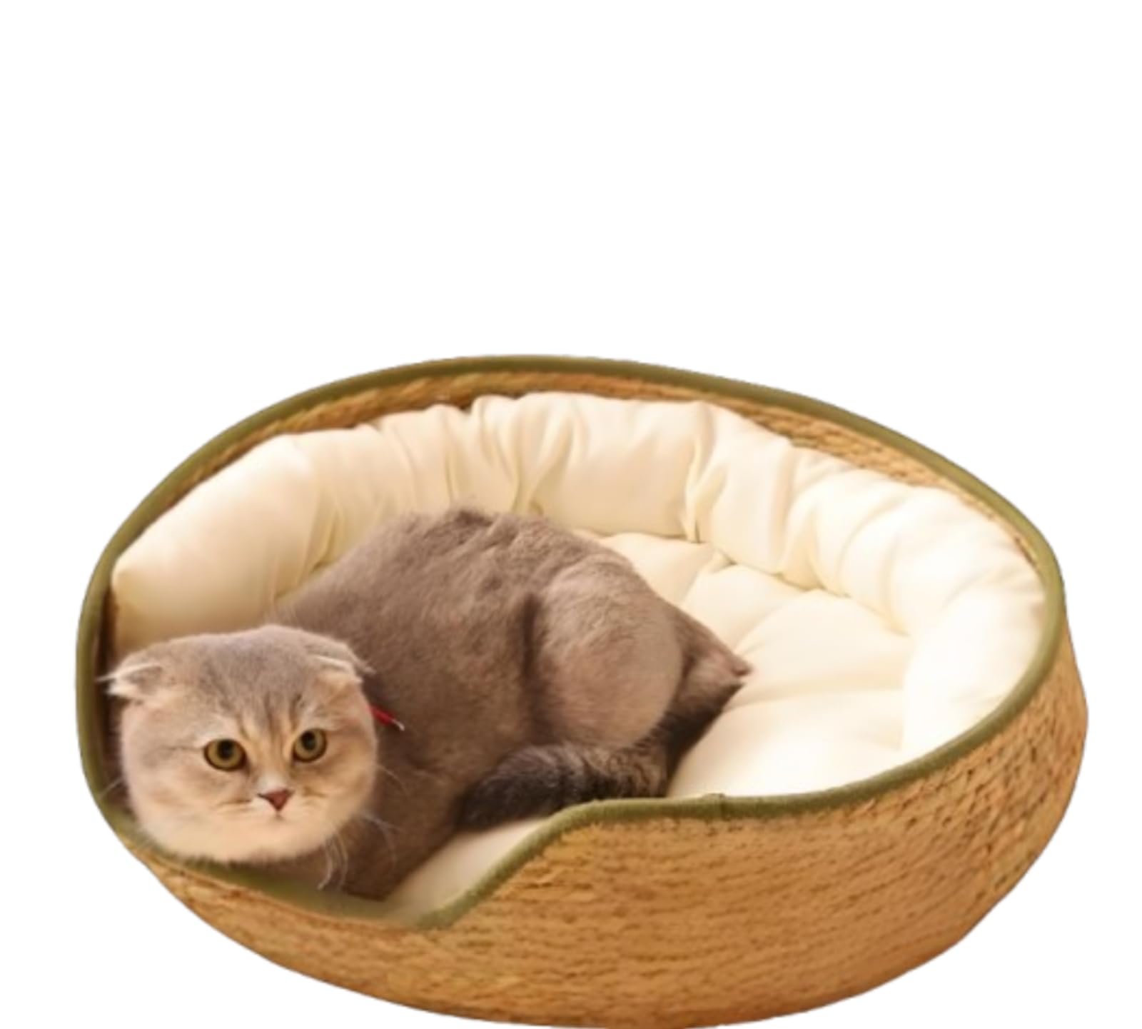 Générique Panier Rond pour Chat en rotin de 43 cm x 16,9 Pouces avec Rembourrage en Coton, Lavable et résistant aux griffures, décoration intérieure (Vert Militaire)