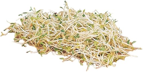 Burpee Semillas de brote de brócoli 4 onzas de semillas