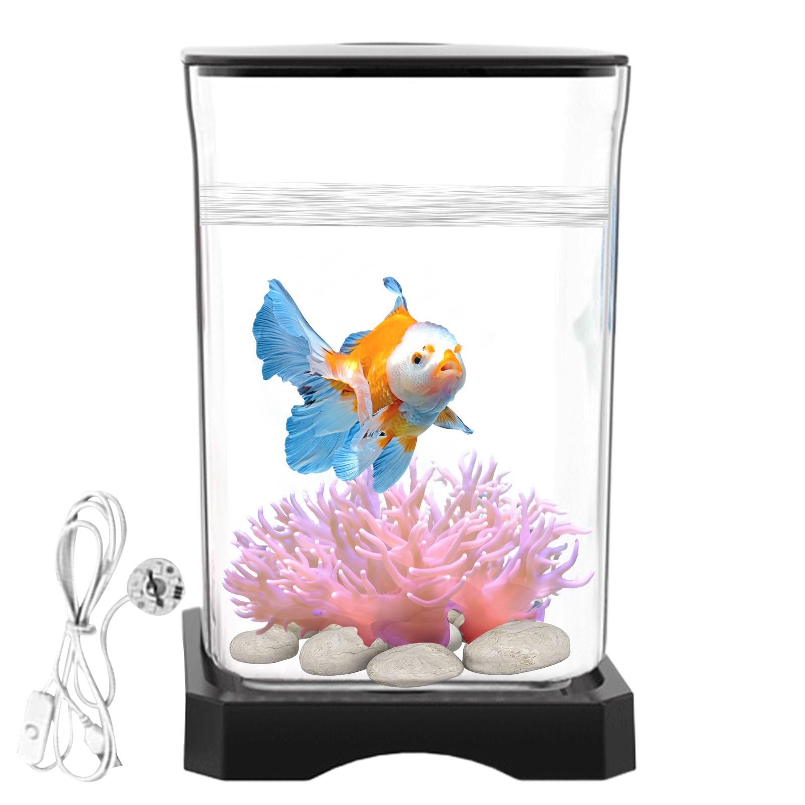 Acrylic Betta Fish Tank | Desktop Rettangolare Aquarium with Top Feeding Hole | Mini Eco Habitat with Ambient Light | Creative Starter Kit for Bettas