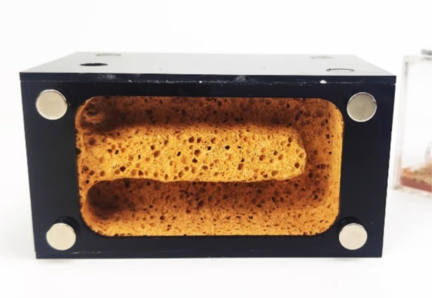 Hormiguero, Terrario de Hormigas con Zona alimentación, acrílico Transparente, 13 cm