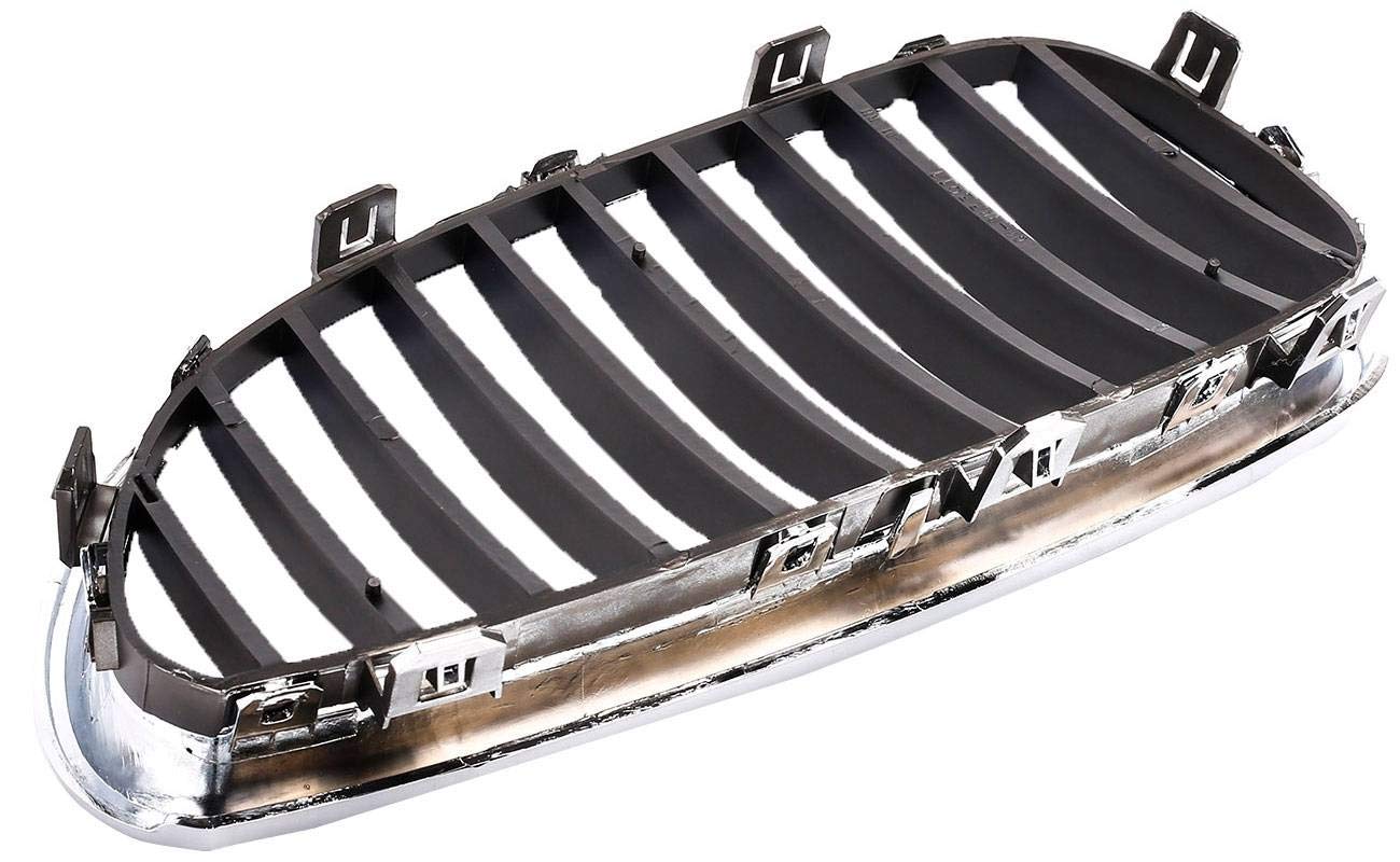 Amazon.com: AUTOPA 51137065701 Front Left + Right Chrome Kindey