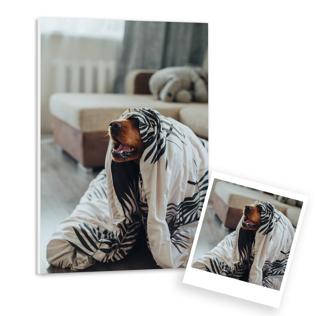 P Pevita Cuadro personalizado con foto en Pvc Espumado. Cuadro de 40x30cm personalizado impreso en Alta definición. Crea regalos personalizados y originales para decorar y regalar. Incluye colgadores