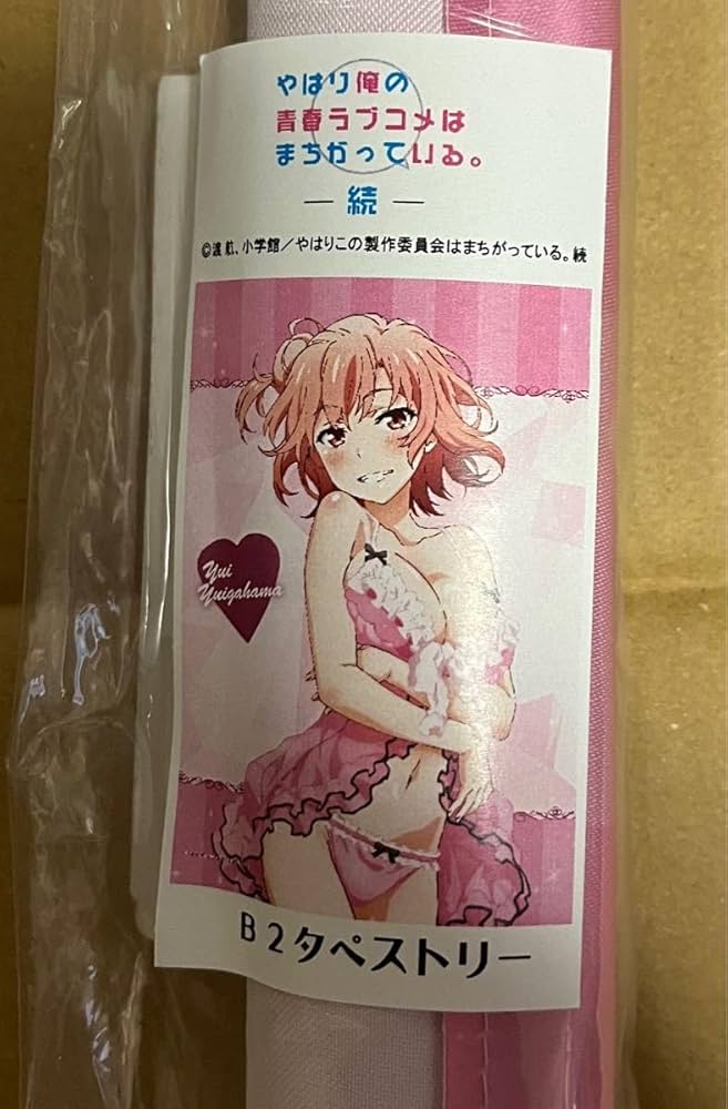 Amazon.co.jp: やはり俺の青春ラブコメはまちがっている 由比ヶ