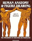 Human anatomy and figure drawing: The integration of structure and perspective
