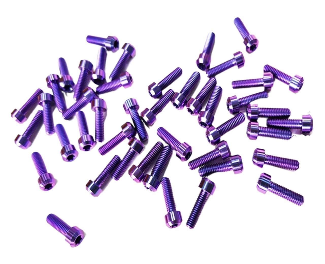 Generico Bulloni in Titanio con Testa Tonda Torx M5/M6/10/15/20/25/30/35/40/50/55/60/80/90/95/100/110/120/130MM Disponibili in Magazzino(M6X110MM_10PCS)
