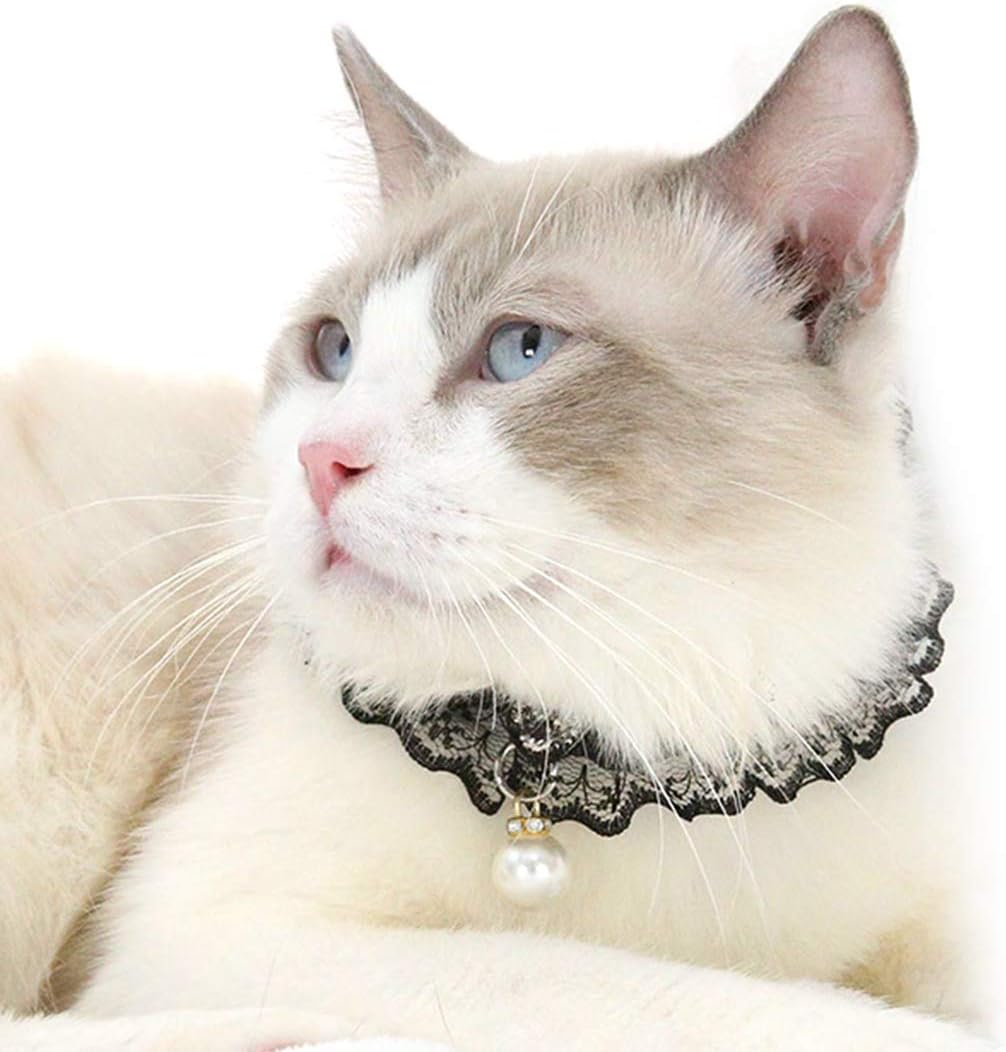lace kitten collar
