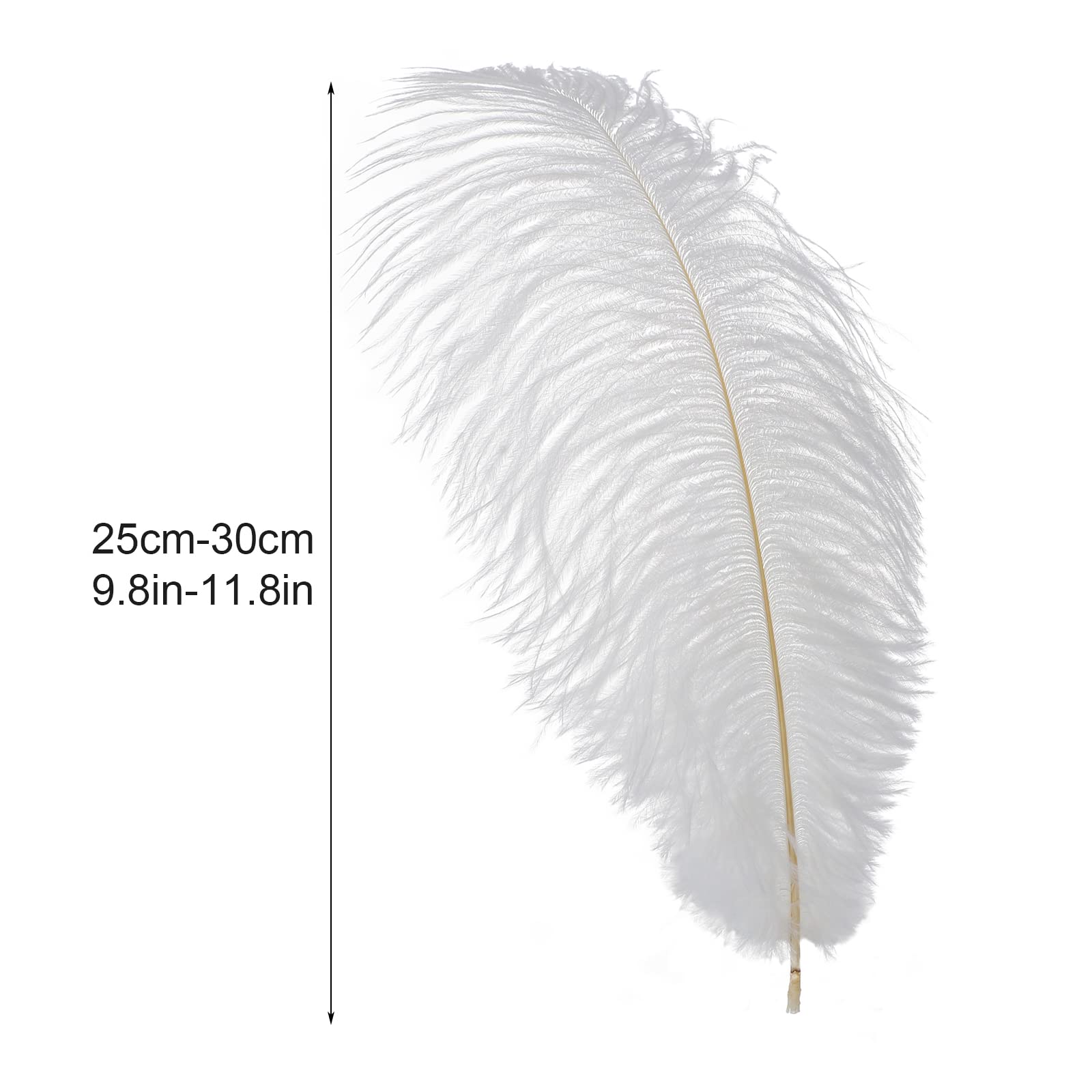 Fdit Natürliche Federn, Große Weiße Bastelfedern für Hochzeiten und Traumfänger, 20er-Pack, Einfach zu Verwendende, Elegante Dekoration (Kunststoffe 6)